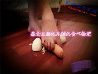 �������Ƭ�����鵰������Ƭ��