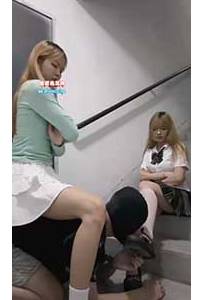 280�Ź��� ¥������˫�������������棩