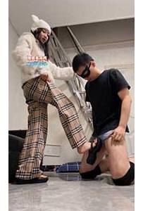 307������������ ���ɲ�������