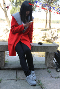 ������ýԭ�泬�塶��ʮ���� 81P