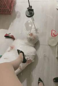 74��������S��ǿū�Ժȼ���N����Ĵ�Ͱʥˮ��Ȼ����