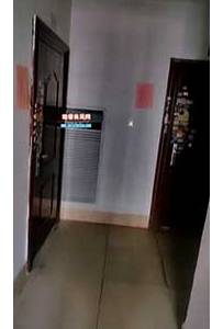 273�Ź��� ɨ¥��һ�ֳ�